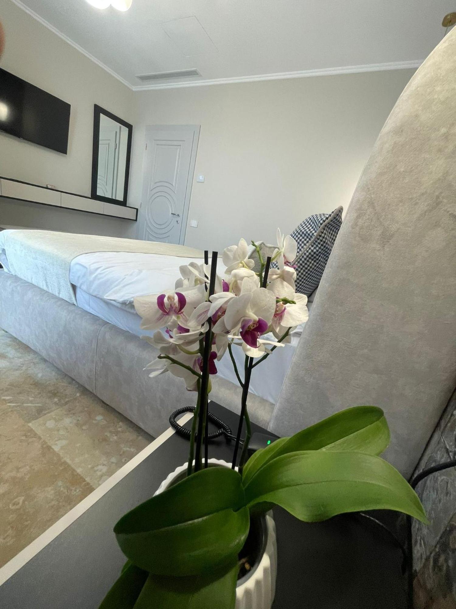 Boutique Hotel Bals Buitenkant foto